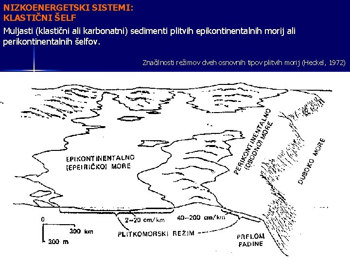 NIZKOENERGETSKI SISTEMI: KLASTIČNI ŠELF Muljasti (klastični ali karbonatni) sedimenti plitvih epikontinentalnih morij ali perikontinentalnih
