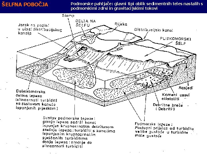 ŠELFNA POBOČJA Podmorske pahljače: glavni tipi oblik sedimentnih teles nastalih s podmorskimi zdrsi in