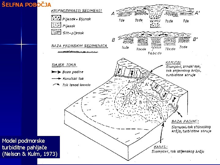 ŠELFNA POBOČJA Model podmorske turbiditne pahljače (Nelson & Kulm, 1973) 
