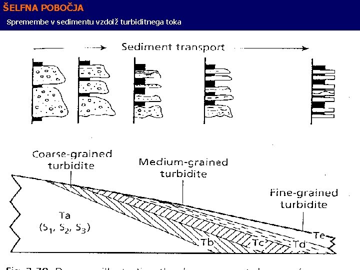 ŠELFNA POBOČJA Spremembe v sedimentu vzdolž turbiditnega toka 