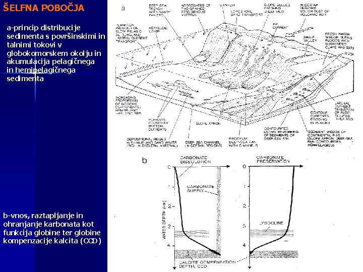 ŠELFNA POBOČJA a-princip distribucije sedimenta s površinskimi in talnimi tokovi v globokomorskem okolju in
