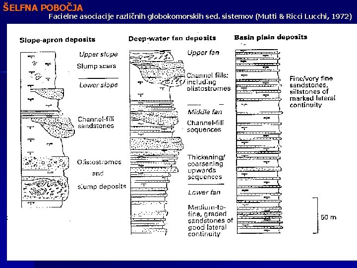 ŠELFNA POBOČJA Facielne asociacije različnih globokomorskih sed. sistemov (Mutti & Ricci Lucchi, 1972) 