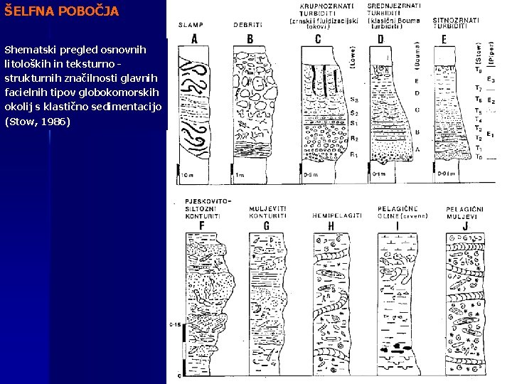 ŠELFNA POBOČJA Shematski pregled osnovnih litoloških in teksturno strukturnih značilnosti glavnih facielnih tipov globokomorskih