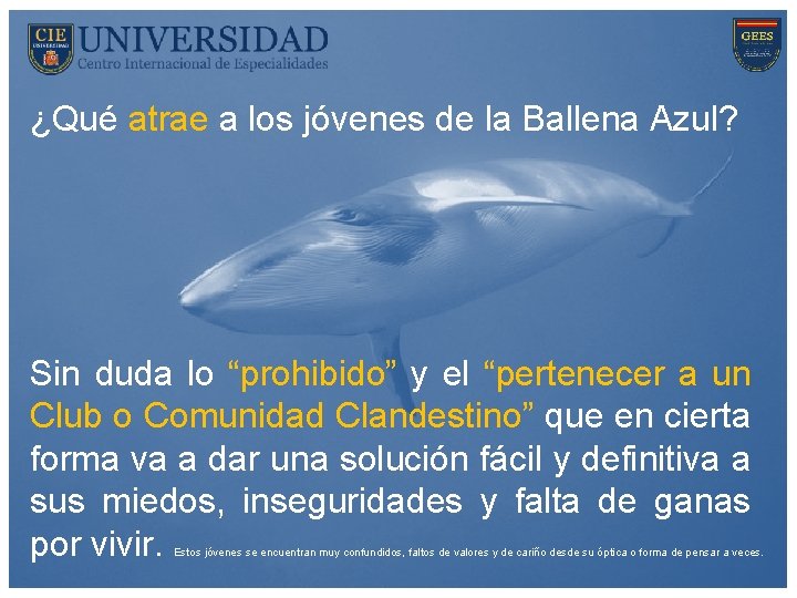 ¿Qué atrae a los jóvenes de la Ballena Azul? Sin duda lo “prohibido” y