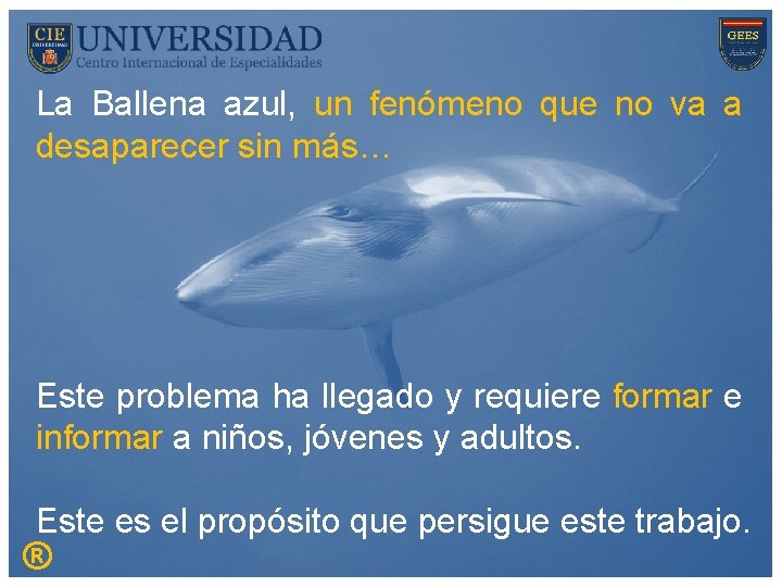 La Ballena azul, un fenómeno que no va a desaparecer sin más… Este problema