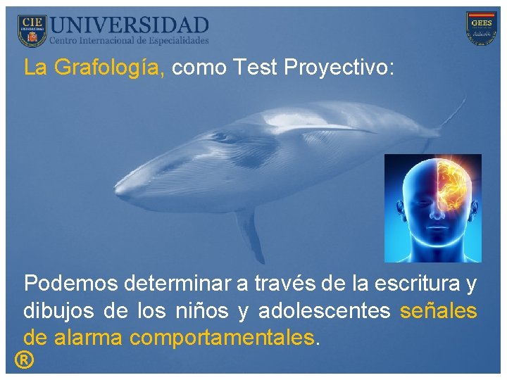 La Grafología, como Test Proyectivo: Podemos determinar a través de la escritura y dibujos