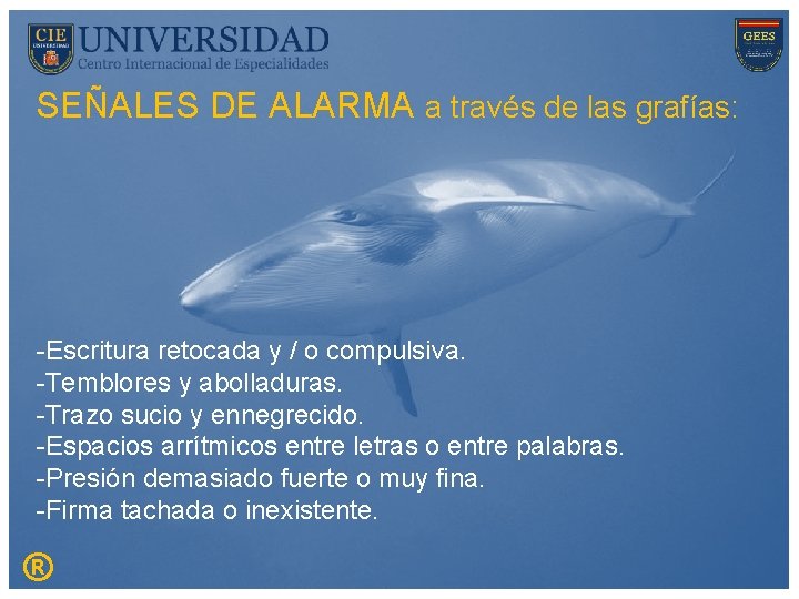 SEÑALES DE ALARMA a través de las grafías: -Escritura retocada y / o compulsiva.