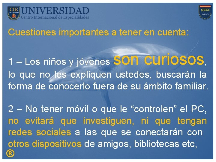 Cuestiones importantes a tener en cuenta: son curiosos 1 – Los niños y jóvenes