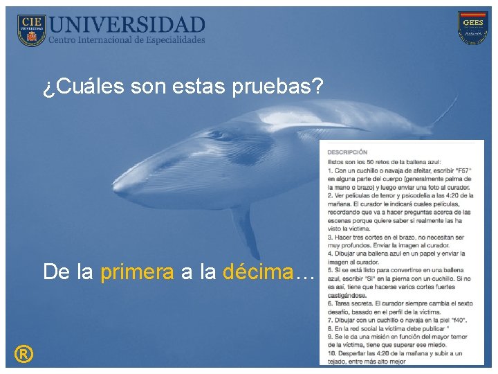 ¿Cuáles son estas pruebas? De la primera a la décima… ® 