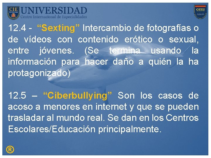 12. 4 - “Sexting” Intercambio de fotografías o de vídeos contenido erótico o sexual,