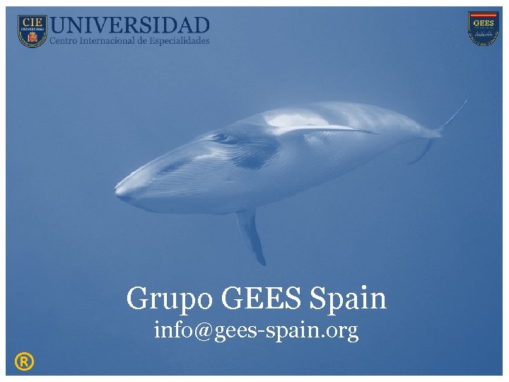 Grupo GEES Spain info@gees-spain. org ® 