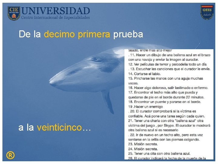 De la decimo primera prueba a la veinticinco… ® 