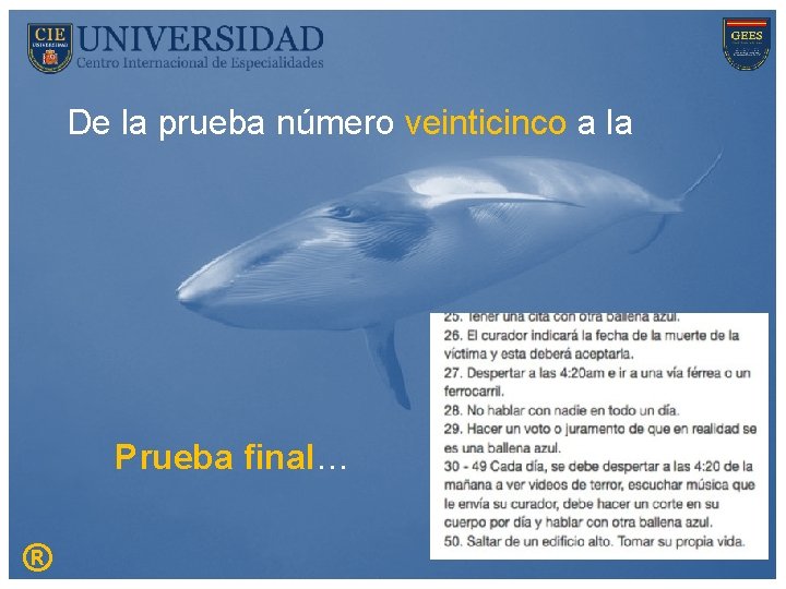 De la prueba número veinticinco a la Prueba final… ® 