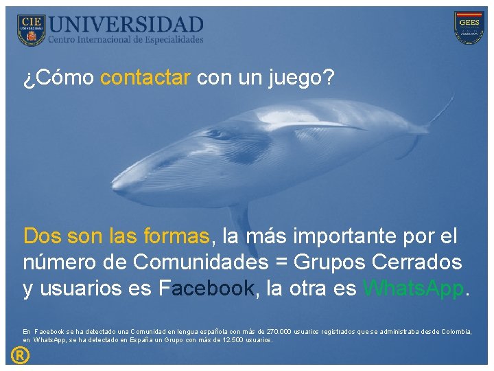¿Cómo contactar con un juego? Dos son las formas, la más importante por el