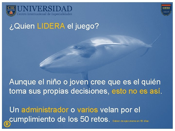 ¿Quien LIDERA el juego? Aunque el niño o joven cree que es el quién