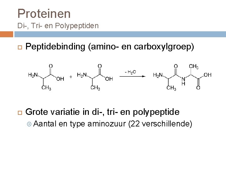 Proteinen Di-, Tri- en Polypeptiden Peptidebinding (amino- en carboxylgroep) Grote variatie in di-, tri-