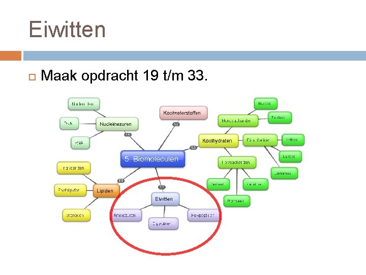 Eiwitten Maak opdracht 19 t/m 33. 