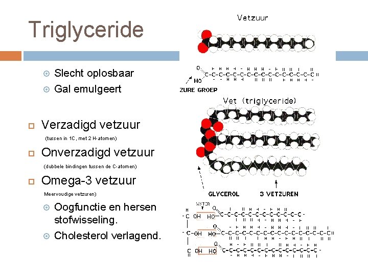 Triglyceride Slecht oplosbaar Gal emulgeert Verzadigd vetzuur (tussen in 1 C, met 2 H-atomen)