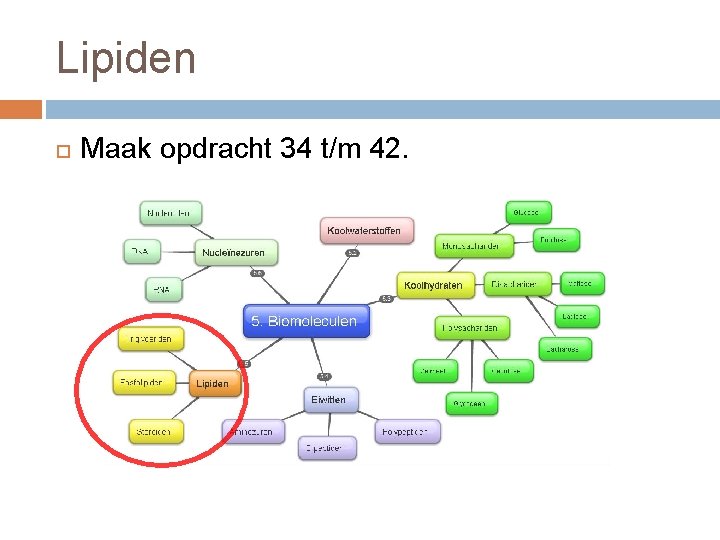 Lipiden Maak opdracht 34 t/m 42. 