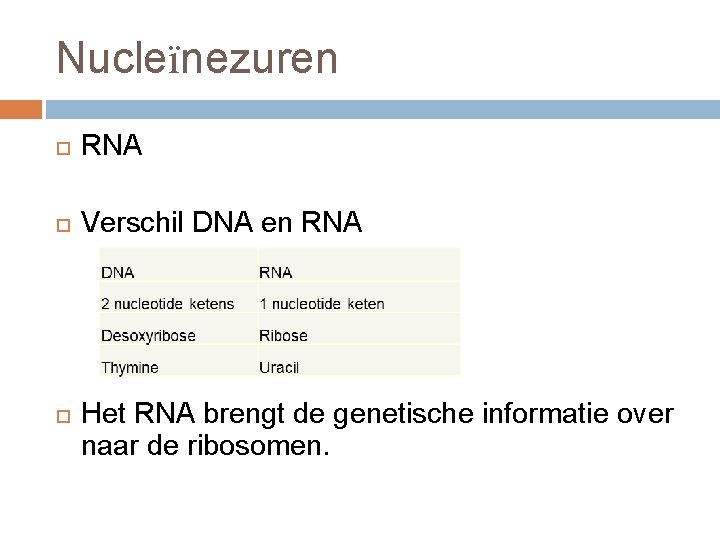 Nucleïnezuren RNA Verschil DNA en RNA Het RNA brengt de genetische informatie over naar