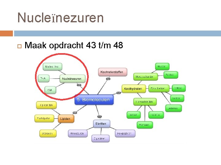 Nucleïnezuren Maak opdracht 43 t/m 48 