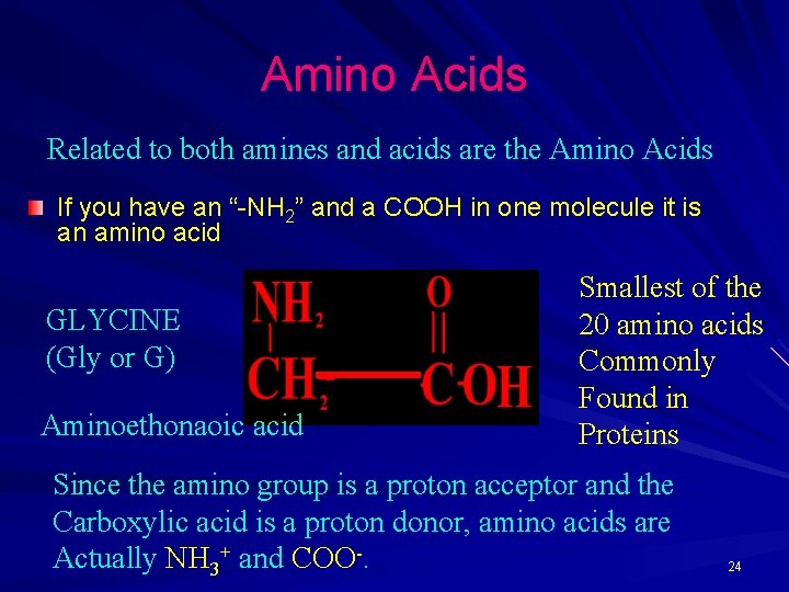 Amino Acids Related to both amines and acids are the Amino Acids If you