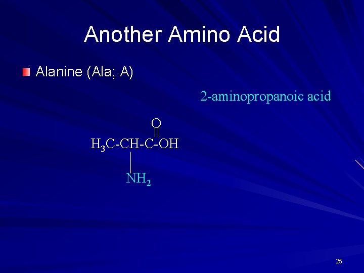 Another Amino Acid Alanine (Ala; A) 2 -aminopropanoic acid O H 3 C-CH-C-OH NH