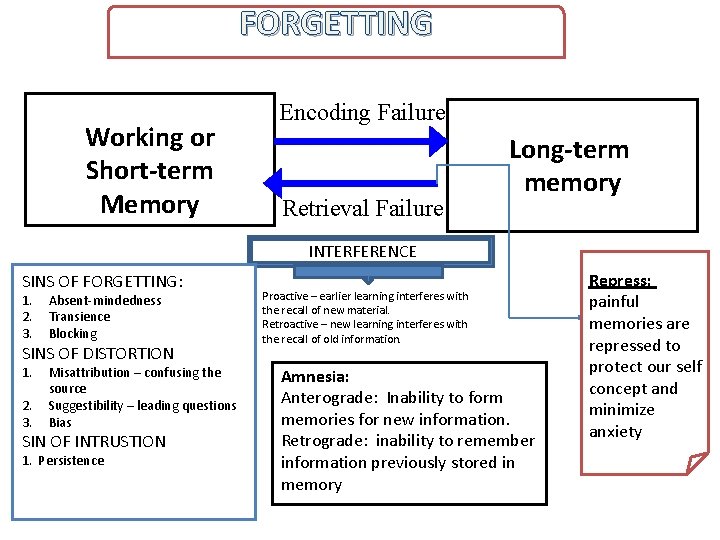 FORGETTING Working or Short-term Memory Encoding Failure Retrieval Failure Long-term memory INTERFERENCE SINS OF