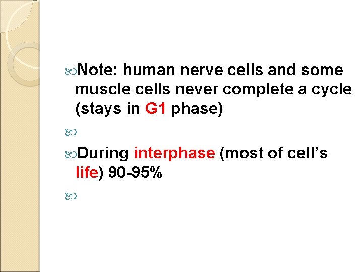  Note: human nerve cells and some muscle cells never complete a cycle (stays