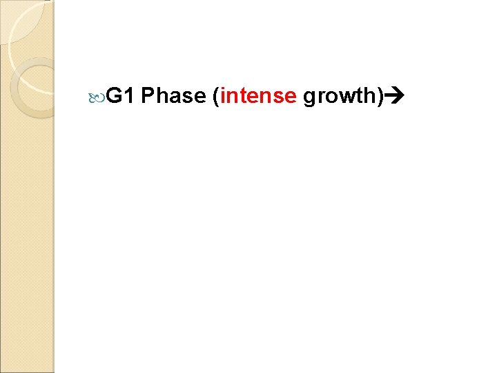  G 1 Phase (intense growth) 