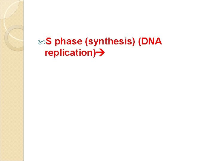  S phase (synthesis) (DNA replication) 