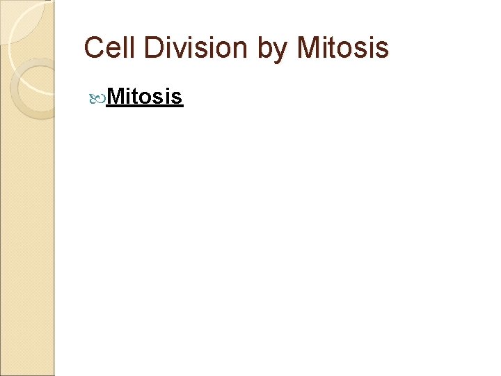 Cell Division by Mitosis 