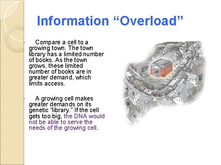 Information “Overload” ◦ Compare a cell to a growing town. The town library has