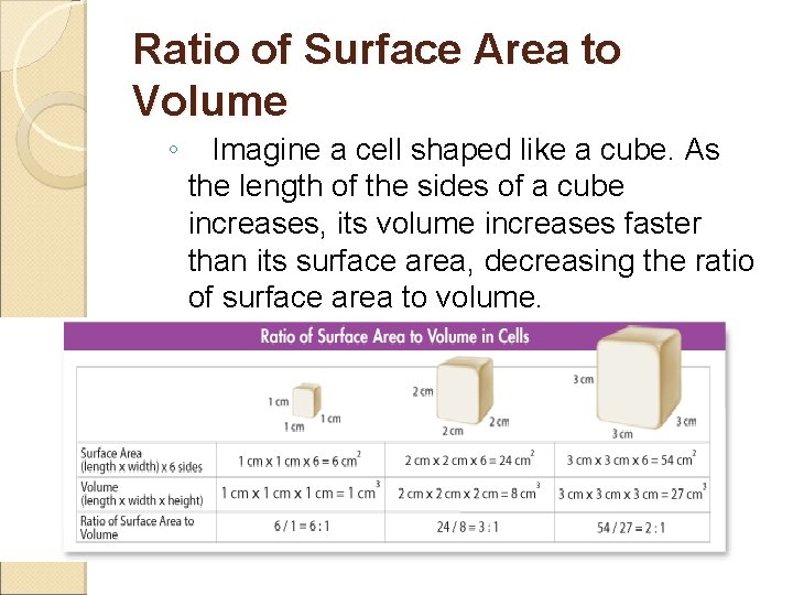 Ratio of Surface Area to Volume ◦ Imagine a cell shaped like a cube.