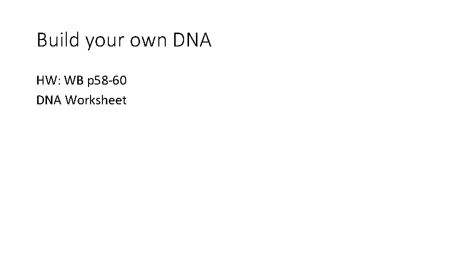 Build your own DNA HW: WB p 58 -60 DNA Worksheet 