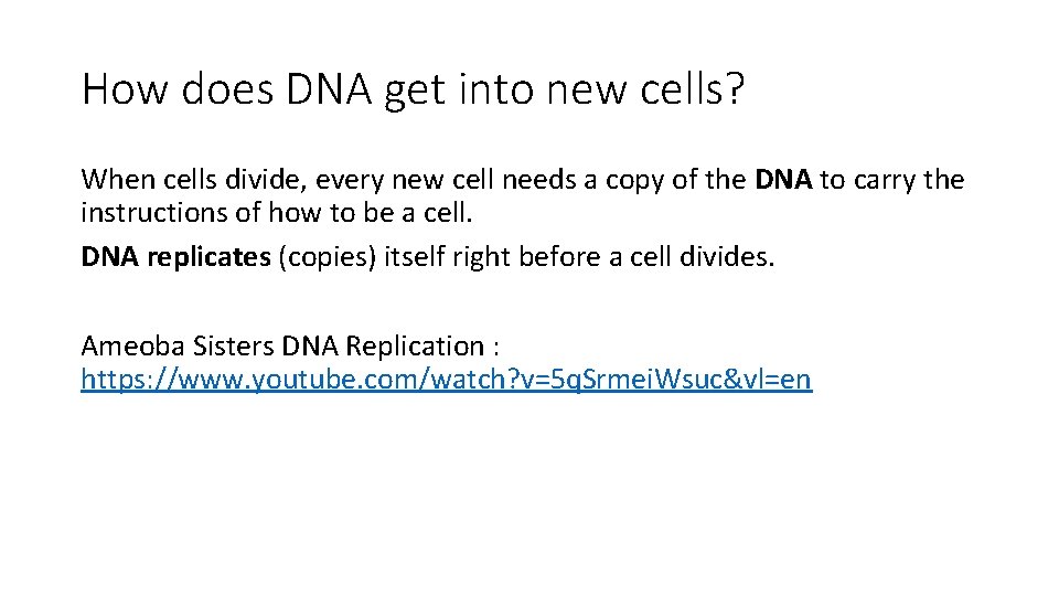 How does DNA get into new cells? When cells divide, every new cell needs