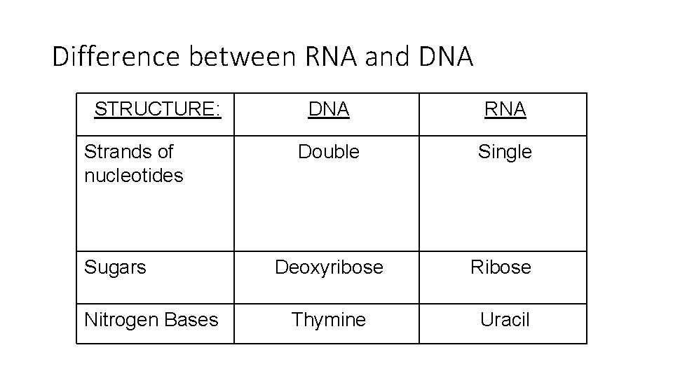 Difference between RNA and DNA STRUCTURE: Strands of nucleotides Sugars Nitrogen Bases DNA RNA