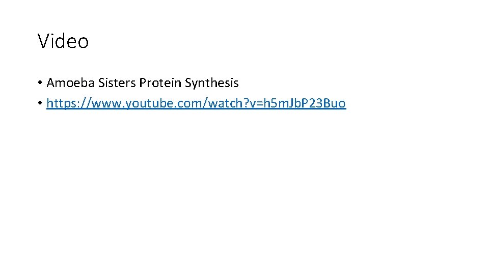 Video • Amoeba Sisters Protein Synthesis • https: //www. youtube. com/watch? v=h 5 m.