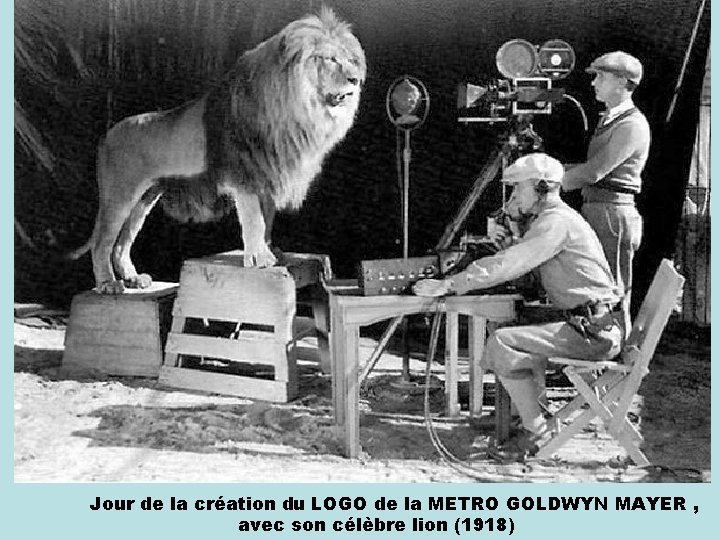 Jour de la création du LOGO de la METRO GOLDWYN MAYER , avec son