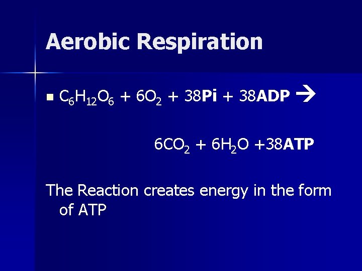 Aerobic Respiration n C 6 H 12 O 6 + 6 O 2 +