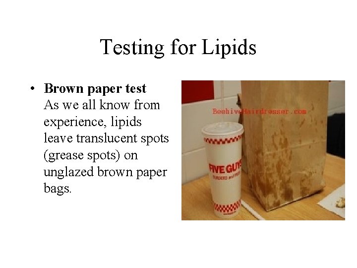 Testing for Lipids • Brown paper test As we all know from experience, lipids Testing for Lipids • Brown paper test As we all know from experience, lipids