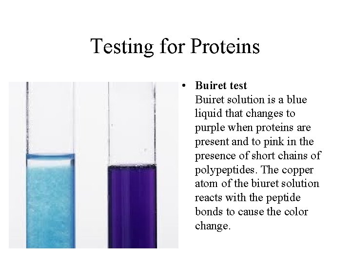Testing for Proteins • Buiret test Buiret solution is a blue liquid that changes Testing for Proteins • Buiret test Buiret solution is a blue liquid that changes