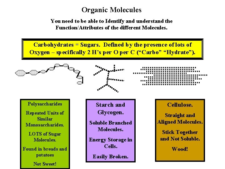 Organic Molecules You need to be able to Identify and understand the Function/Attributes of Organic Molecules You need to be able to Identify and understand the Function/Attributes of