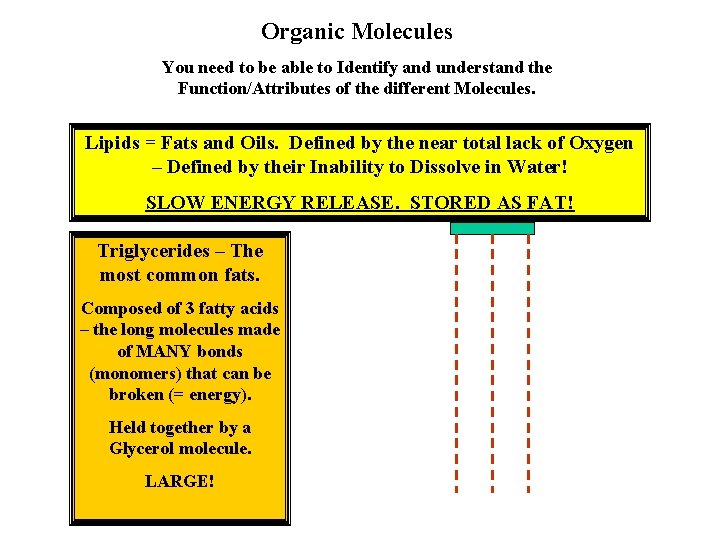 Organic Molecules You need to be able to Identify and understand the Function/Attributes of Organic Molecules You need to be able to Identify and understand the Function/Attributes of