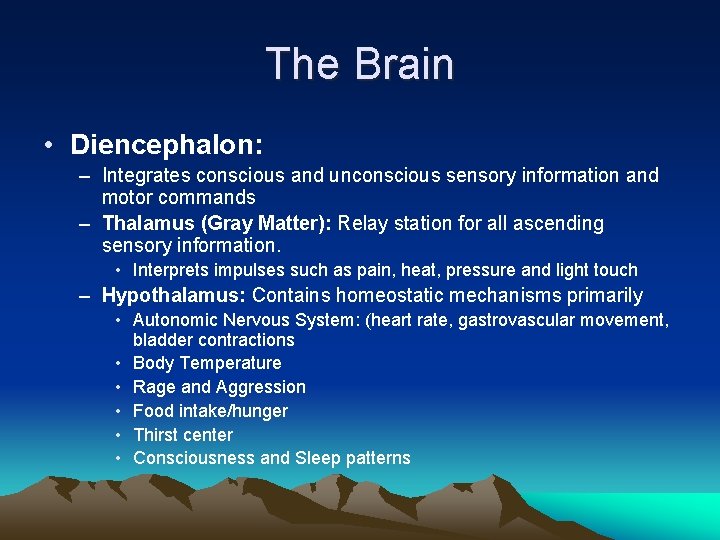 The Brain • Diencephalon: – Integrates conscious and unconscious sensory information and motor commands
