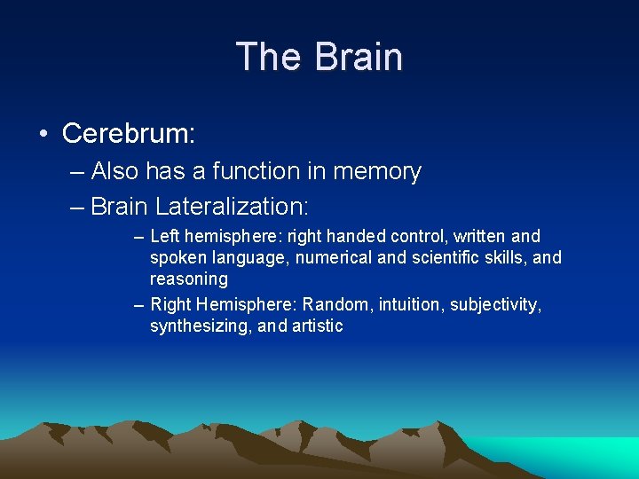 The Brain • Cerebrum: – Also has a function in memory – Brain Lateralization: