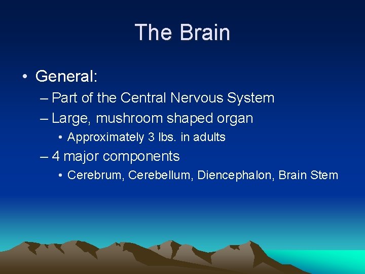 The Brain • General: – Part of the Central Nervous System – Large, mushroom