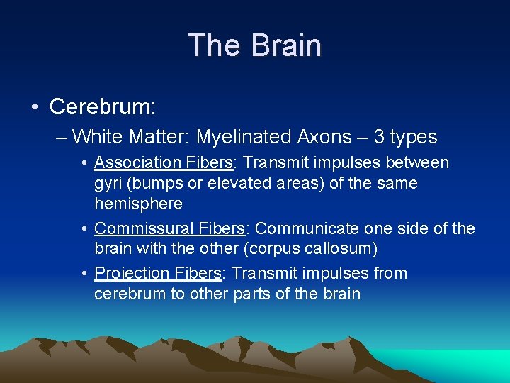 The Brain • Cerebrum: – White Matter: Myelinated Axons – 3 types • Association