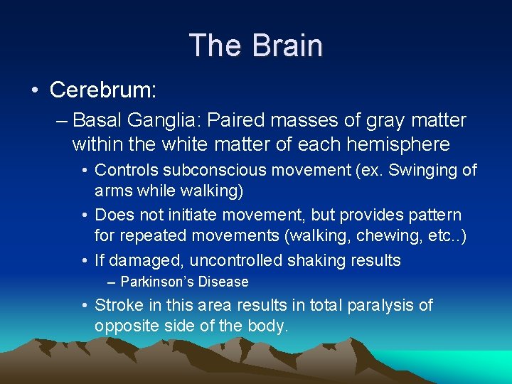 The Brain • Cerebrum: – Basal Ganglia: Paired masses of gray matter within the