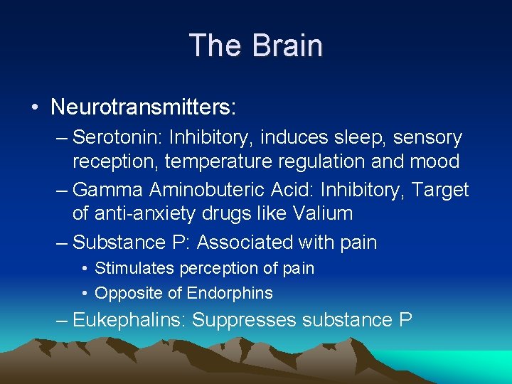 The Brain • Neurotransmitters: – Serotonin: Inhibitory, induces sleep, sensory reception, temperature regulation and